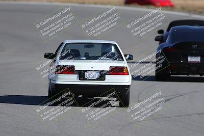 media/Nov-19-2023-Extreme Speed (Sun) [[bd0eec5490]]/Purple/Back Shots/